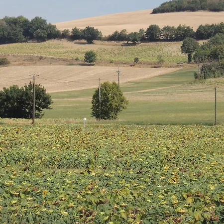 Oda ve Kahvaltı Les Treilles D'en Peyre Nogaret