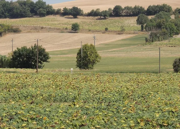 ベッド・アンド・ブレックファスト Les Treilles D'en Peyre Nogaret